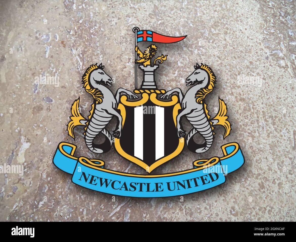 Newcastle United injury blow as £35m star set to miss Team K-League & Tottenham games – NewcastleWorld