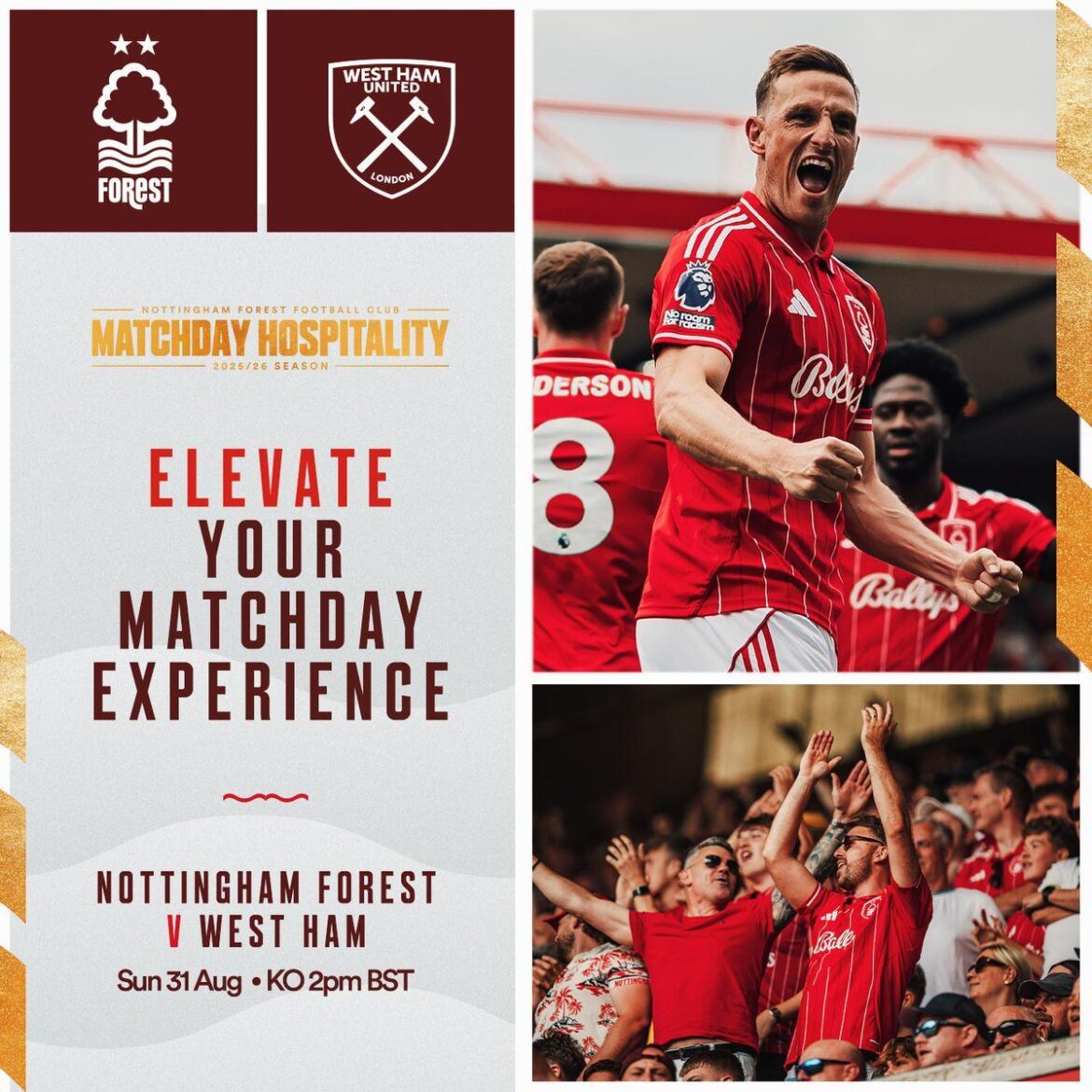 What do you want to know about Nottingham Forest? – BBC