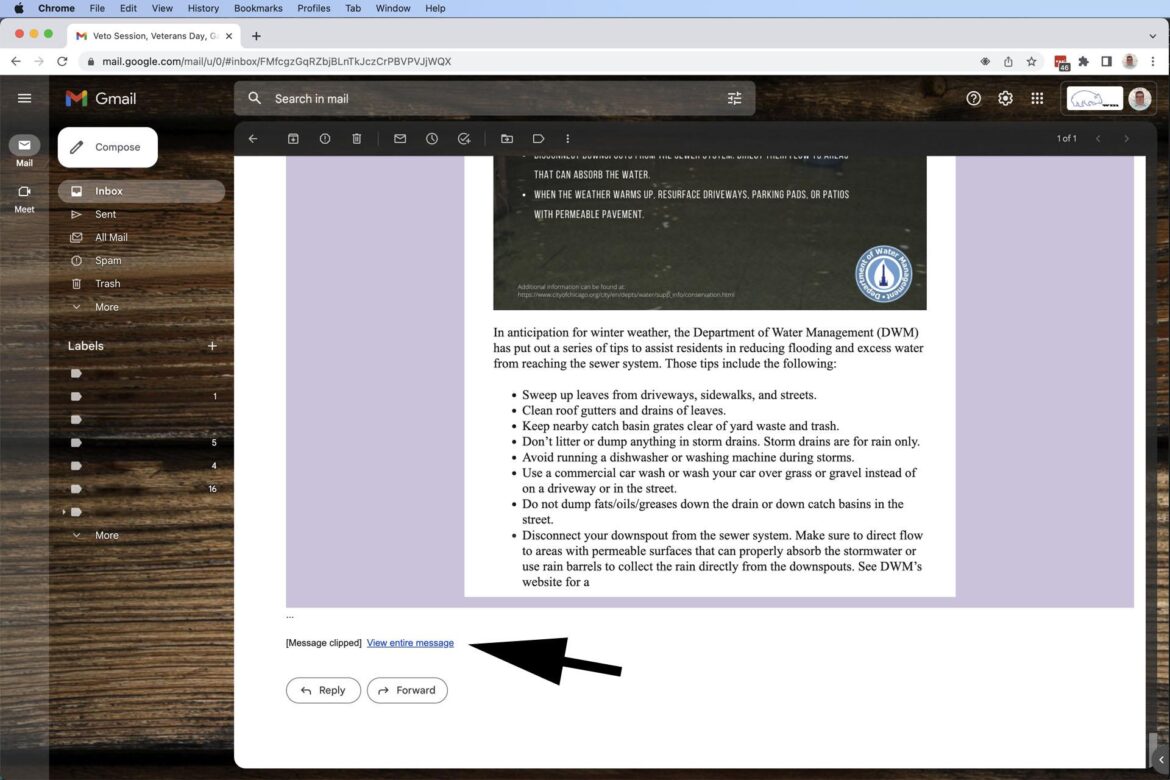 Real Madrid dealt Eduardo Camavinga setback as French star return delayed with eye on Champions League opener against Marseille – Goal.com
